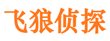 道县市侦探调查公司